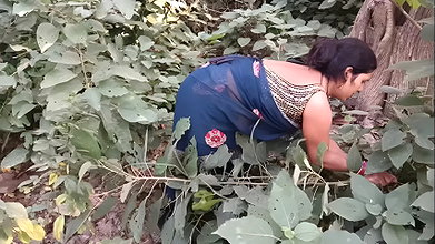 Bhabhi ki jungal me chudayi, sex in forest