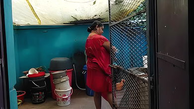 YouTuber ” Take a look with Kusum “Premium / membership video collection – 10