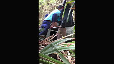 Same place different couple fucking video -19