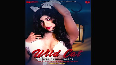 Wild Cat – Bebo Fashion Shoot – Includes 4k Link