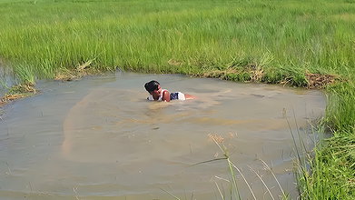 Amazing Net Fishing in Village  paddy field