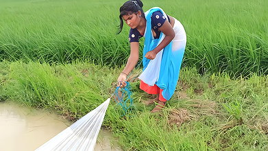 Amazing Net fishing video  Mouni Handhda
