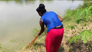Amazing Village Net fishing video-da