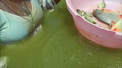 Amazing Village women Hand fishing-d
