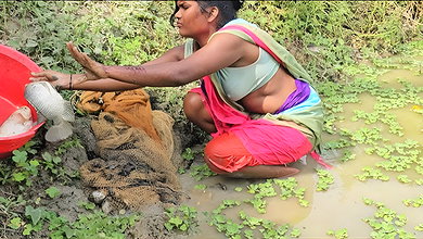 Amazing Village Women Net Fishing