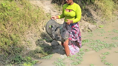 Amazon Fish Trap Fishing by Mouni