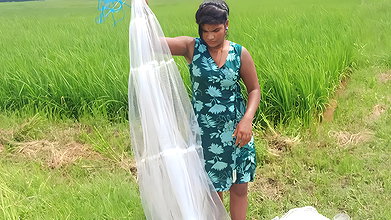 x Best village girl net fishing video