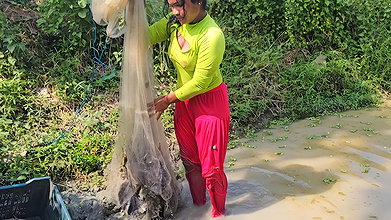 New Amazing Village Girl Net Fishing video