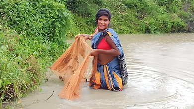 Village women caught Big barramundi Fis