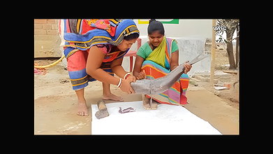 xAmazing Fish cutting skills    Village women cutti