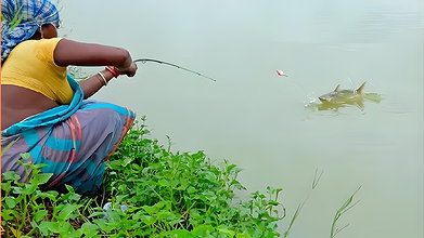 Amazing Hook Fishing in Rain    Village women fish