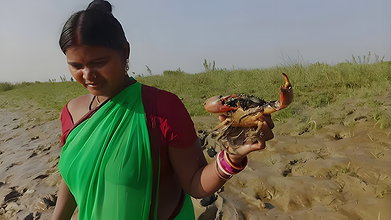 Amazing king mud crab catch by village women   Sea