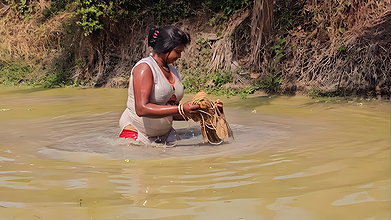 Amazing Mouni Net Fishing in Muddy Water    Big Ca