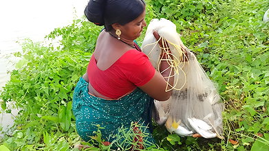 Amazing Net Casting by Village women    Best Net F