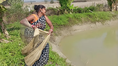 xAmazing net fishing by village women   Net Casting