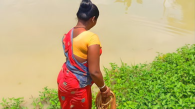 Amazing Net fishing in village Paddy field   Villa