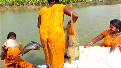 Amazing net fishing   village women floating and f
