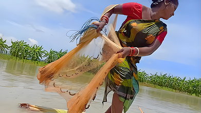 Amazing net fishing   Village women net fishing fl