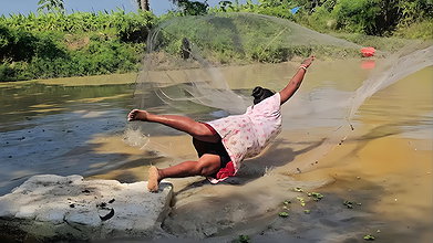 Amazing Net Fishing    Village Women Net Fishing f