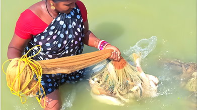 Amazing Traditional Village Women Net Fishing   Vi
