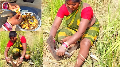 Amazing Village women Fish Cutting and Cooking   V