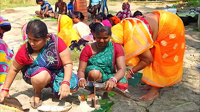 Amazing Village Women Fishing  Village women Fish