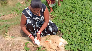 Amazing Village Women Fishing in Muddy Water    Bi