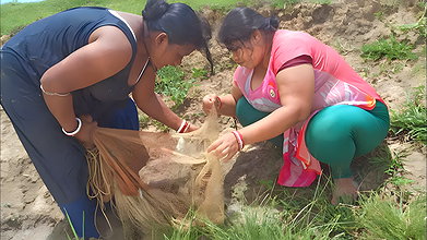 Amazing Village Women Fishing in village pond   Bi