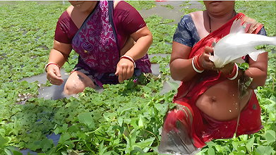 Amazing Village women fishing in village pond   Po