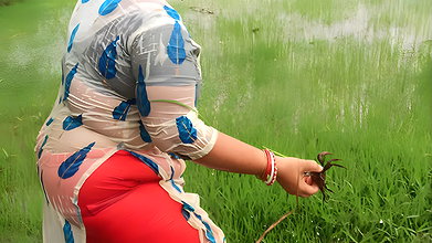 Amazing Village women fishing in village pond   vi