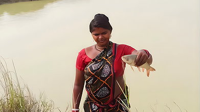 Amazing Village Women Fishing with bare Hand    Mo
