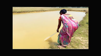 Amazing Village women Fishing    Traditional Net F