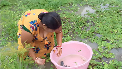 Amazing village women fishing    Women fishing Til