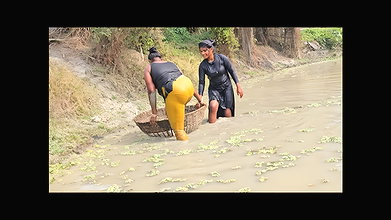 x Amazing Village Women Net Fishing for Big Carp Fis