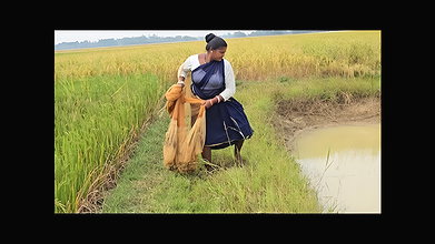 Amazing Village Women Net Fishing Video    Village