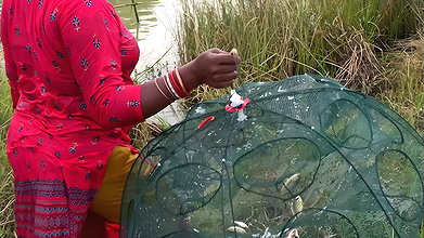 Amazing Village Women Trap Fishing   Incredible La