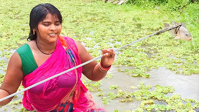 Amazing Village Women Trident fishing   Mouni fish