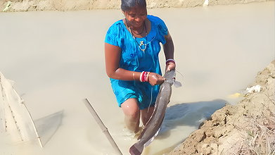 Amazing Village Women unique Fishing technique