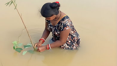 Best Net fishing video   Traditional women net fis