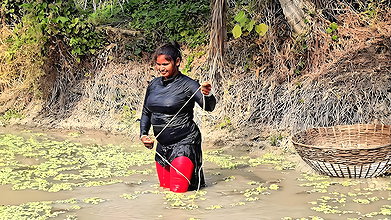 Best Village Women amazing Net Fishing for Carp Fi