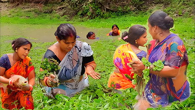 Best Village women fishing video   fishing in vill