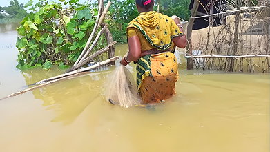 CAST NET FISHING BY WOMEN IN FLOOD WATER    NET FI