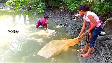 Cast Net Fishing    Best Fishing Video