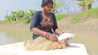 x Mouni Net Fishing   Katla Fish   Village women fis