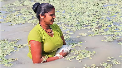 New Amazing Village Women Net Fishing video    Mou