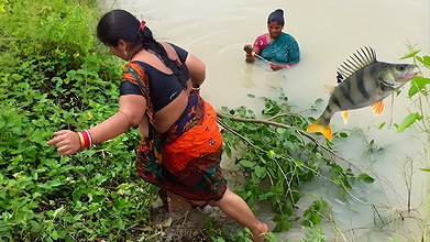 x Traditional Net fishing by Village Women   গ্রামের