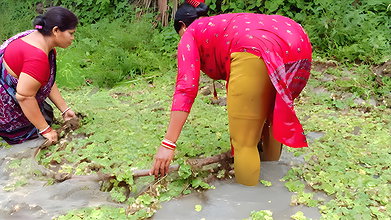 Unique fishing by village women   Mouni fishing