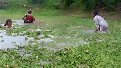 Unique Village women fishing technique   Mud water