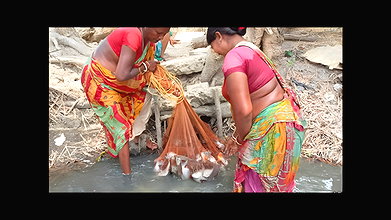 Village Fishing Evolution    Amazing Net Fishing b
