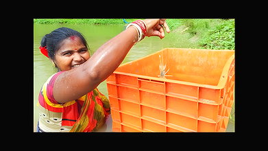 Village Women Fishing in Rain    Prawns Fishing in
